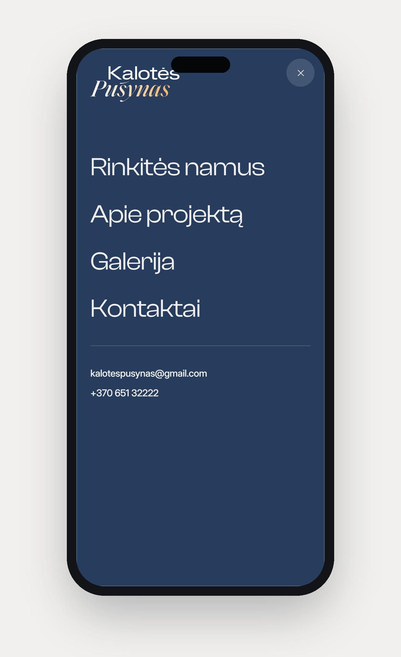 Phone: the open menu