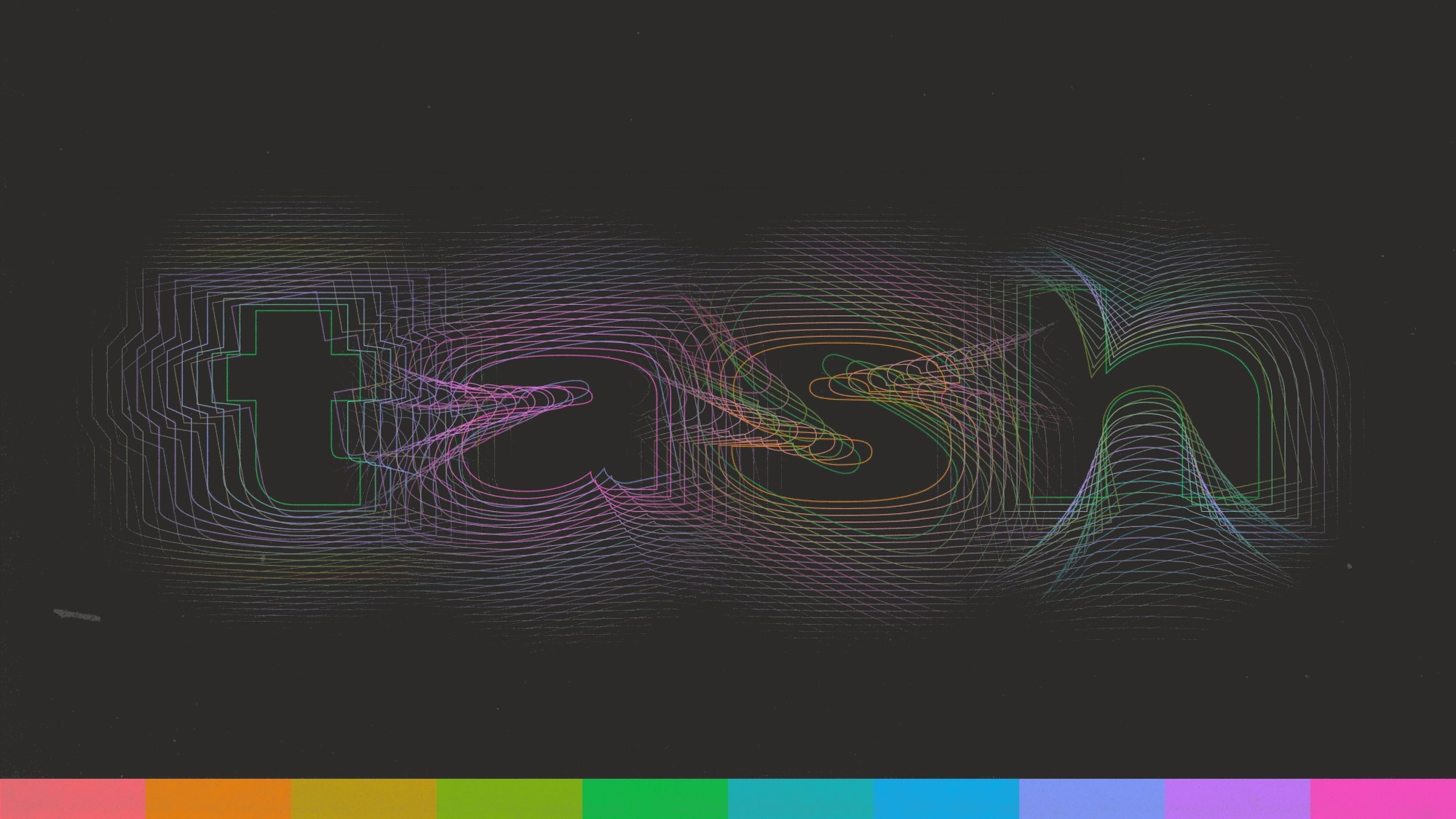tash brand guidelines cover: the wordmark in holographic guilloche lines